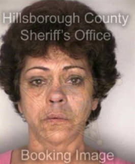 Andrade Grisel - Hillsborough County, Florida 