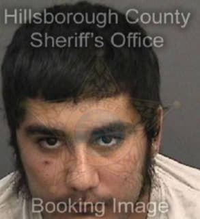 Castro Matthew - Hillsborough County, Florida 