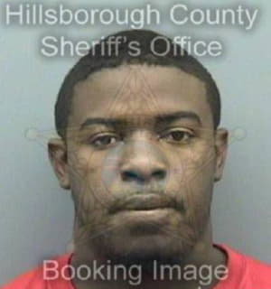 Mcfadden Demetrius - Hillsborough County, Florida 