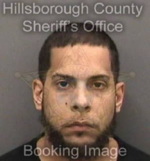 Mendez Eduardo - Hillsborough County, Florida 