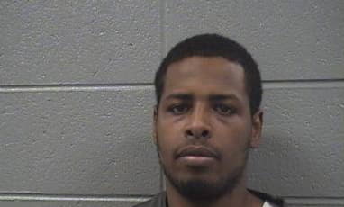 Nelson Michael - Cook County, Illinois 