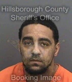 Williams Anthony - Hillsborough County, Florida 