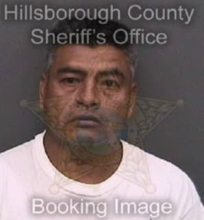 Martinez Jose - Hillsborough County, Florida 