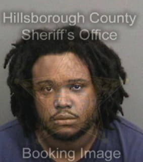 Taylor Joshua - Hillsborough County, Florida 