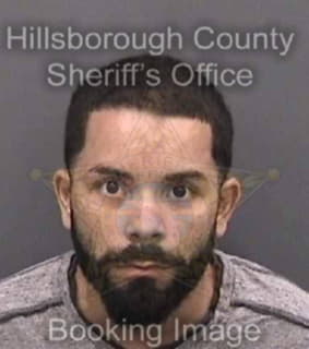 Rivera-Diaz Ken - Hillsborough County, Florida 