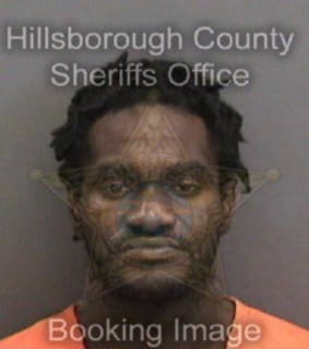 Bradley Azarius - Hillsborough County, Florida 