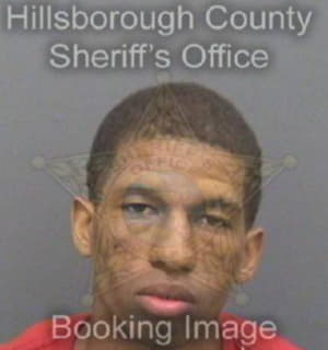 Williams Deaveon - Hillsborough County, Florida 