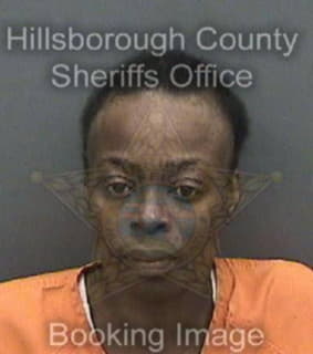 Joseph Dina - Hillsborough County, Florida 