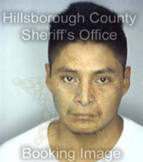 Aguilar Felipe - Hillsborough County, Florida 