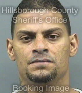 Rivera Eliud - Hillsborough County, Florida 