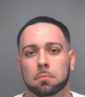 Messina Joseph - Pinellas County, Florida 