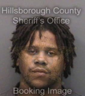 Williams Kameron - Hillsborough County, Florida 