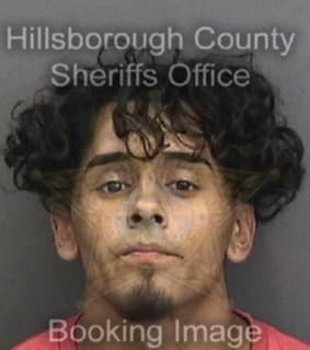 Ramirez Manuel - Hillsborough County, Florida 