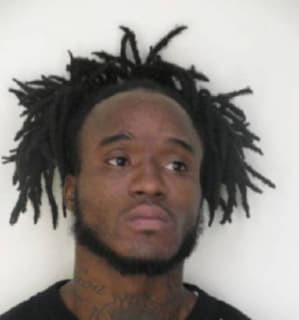 Levison Reginald - Hillsborough County, Florida 