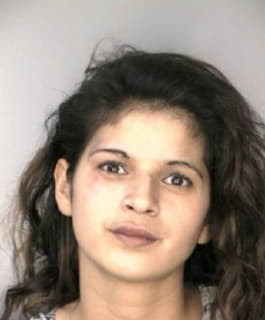 Ramirez Jaimie - Hillsborough County, Florida 