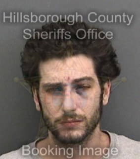 Mccormick Seth - Hillsborough County, Florida 