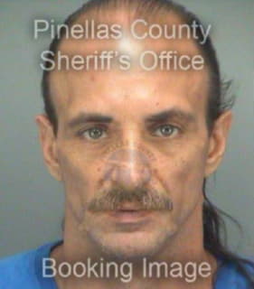 Diaz David - Pinellas County, Florida 