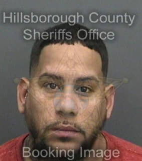 Nina Eliu - Hillsborough County, Florida 