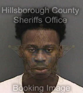 Battles Reginald - Hillsborough County, Florida 