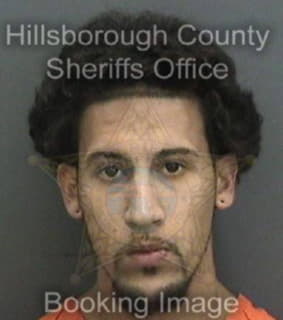 Ruiz Steven - Hillsborough County, Florida 