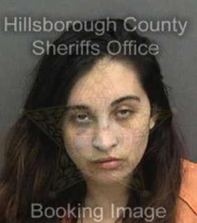 Pritt Taylor - Hillsborough County, Florida 