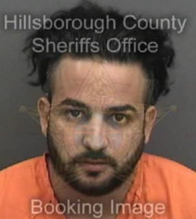 Lopezclaro Henrry - Hillsborough County, Florida 