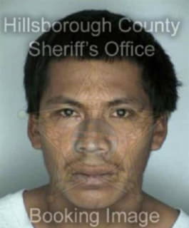 Nunez Isael - Hillsborough County, Florida 