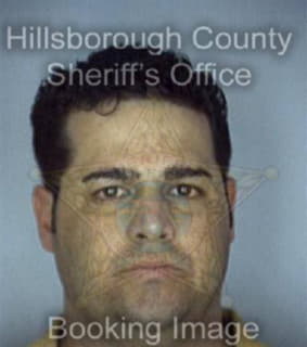 Perezhernandez Jorge - Hillsborough County, Florida 