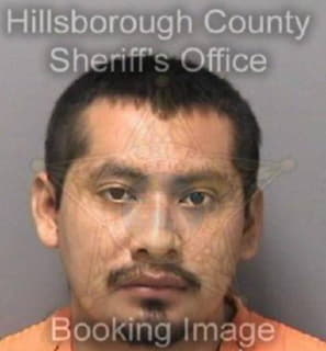 Martin Roberto - Hillsborough County, Florida 