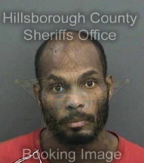 Wiggins Arthur - Hillsborough County, Florida 