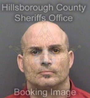 Davis Brian - Hillsborough County, Florida 