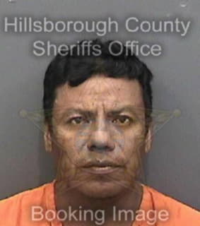 Martinez Cecilio - Hillsborough County, Florida 