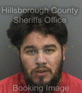 Carbajal Juan - Hillsborough County, Florida 