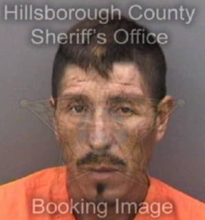 Arzola Armando - Hillsborough County, Florida 