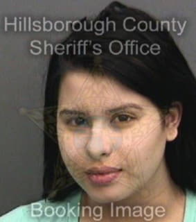 Romero Bridgette - Hillsborough County, Florida 