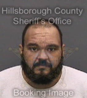 Villanueva David - Hillsborough County, Florida 