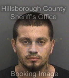 Delrio Luis - Hillsborough County, Florida 