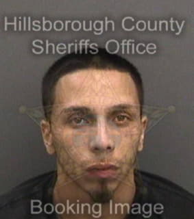 Dejesus Michael - Hillsborough County, Florida 