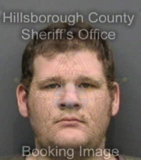 Wiggins Patrick - Hillsborough County, Florida 