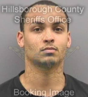 Dennis Robertino - Hillsborough County, Florida 