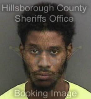 Lee Amil - Hillsborough County, Florida 