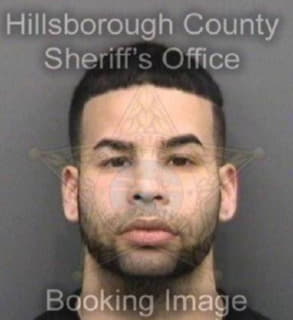 Rivera Elias - Hillsborough County, Florida 