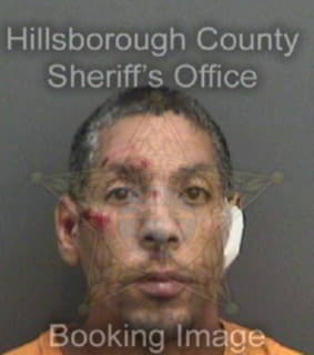 Nieves Pedro - Hillsborough County, Florida 