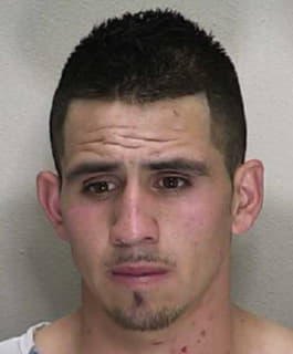 Gonzalez Efrain - Marion County, Florida 