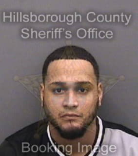 Ramirez Jovanny - Hillsborough County, Florida 