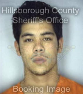 Perez Rogelio - Hillsborough County, Florida 