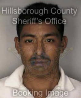 Bautistagarcia Andres - Hillsborough County, Florida 