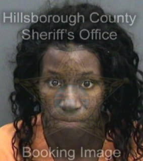 Nesmith Anquantrayla - Hillsborough County, Florida 