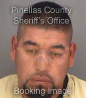 Hernandez Armando - Pinellas County, Florida 