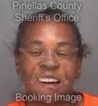 Mitchell Darian - Pinellas County, Florida 